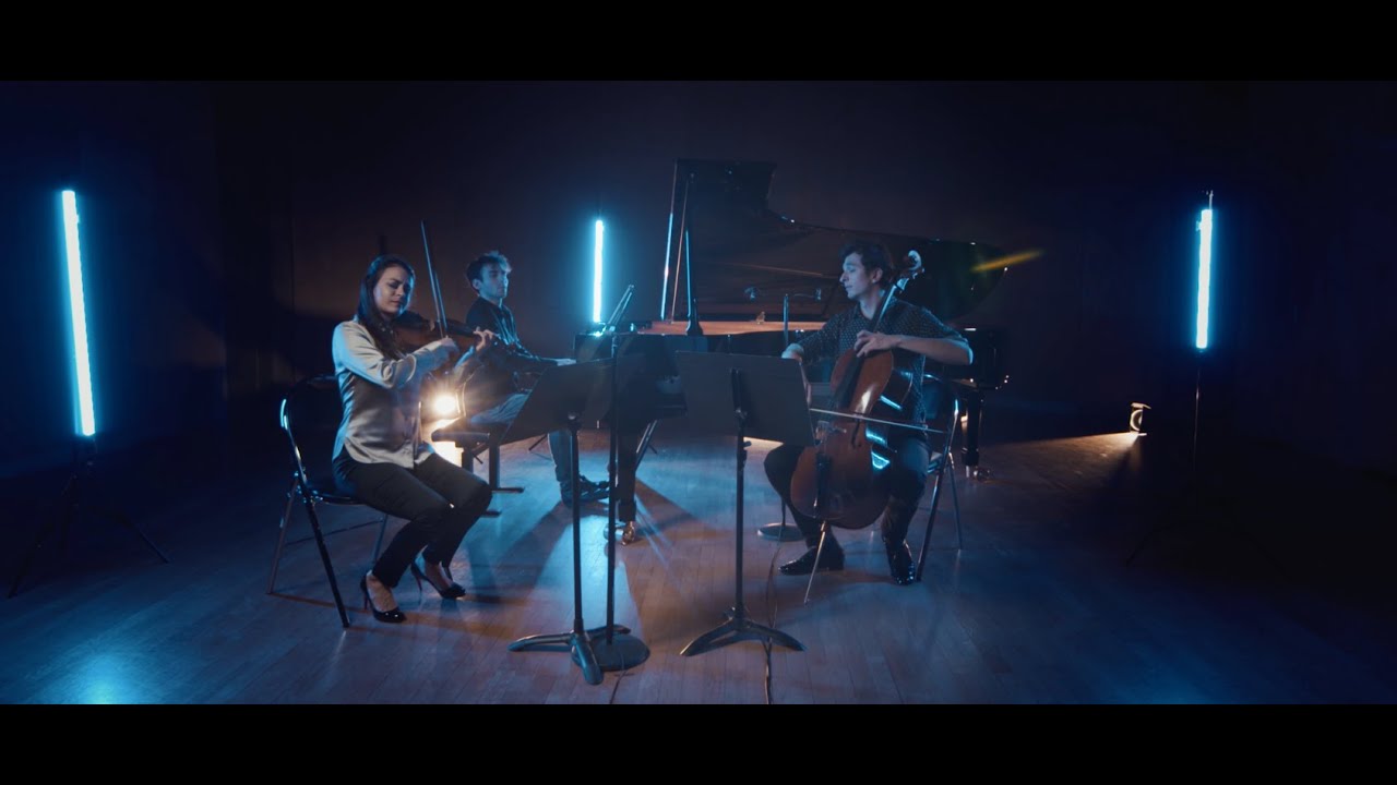 Liya PETROVA,  Alexandre KANTOROW, Aurélien PASCAL -  BRAHMS Trio n°1 op.8, Mvt 1