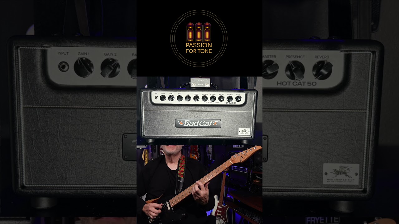 Bad Cat Hot Cat 50 Mod Shop | Anderson Icon T| CH1 Hi