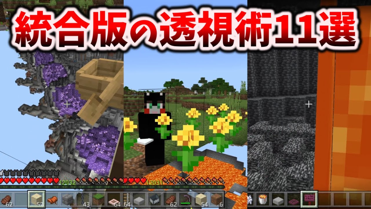 マイクラ統合版の1.20.32で使える透視術集11選[マイクラ統合版/1.20.32/Bedrock][Windows/PE/Switch/PS/Xbox]