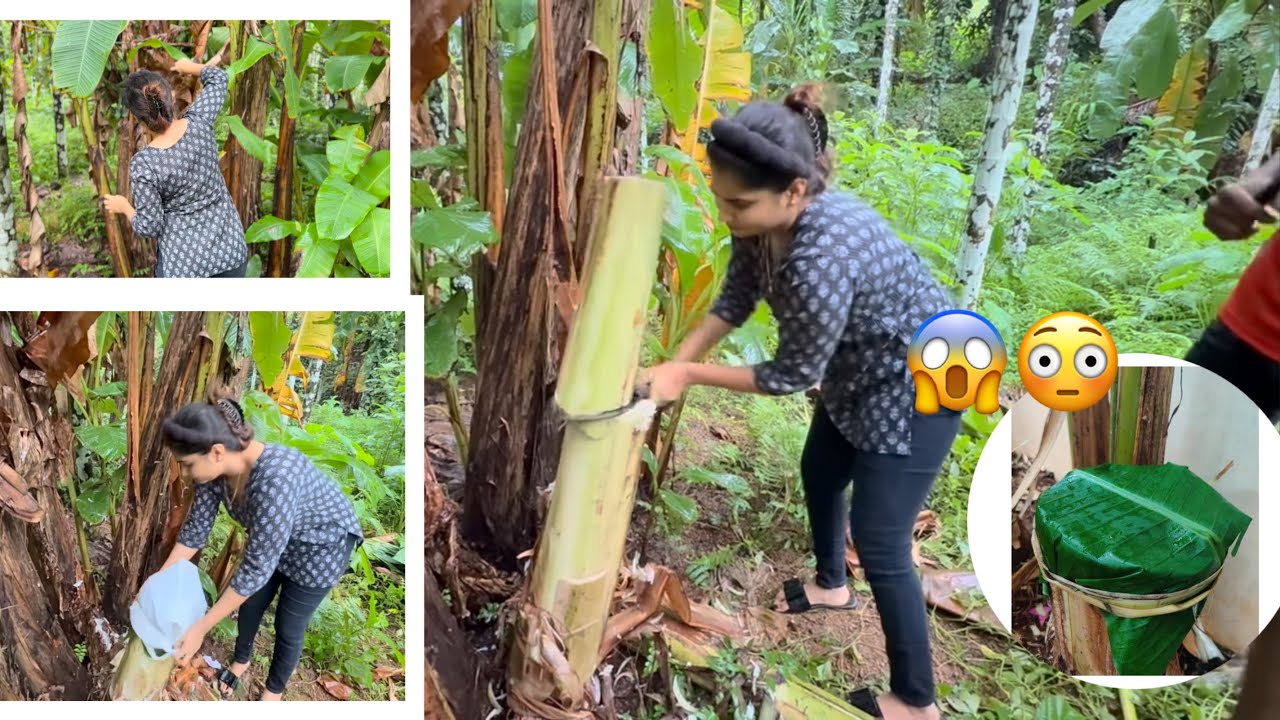 Best medicine for kidney stone 😱❤️||AnushkaSalian||#tuluvlogs #tulutalks #tulunad #anushkasalian 
