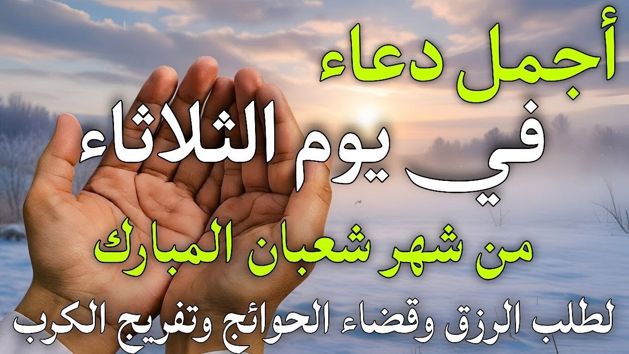 دعاء فى صباح يوم الثلاثاء 8 من شهر شعبان لطلب الرزق والفرج وقضاء الحوائج وتفريج الهم بإذن الله 💚