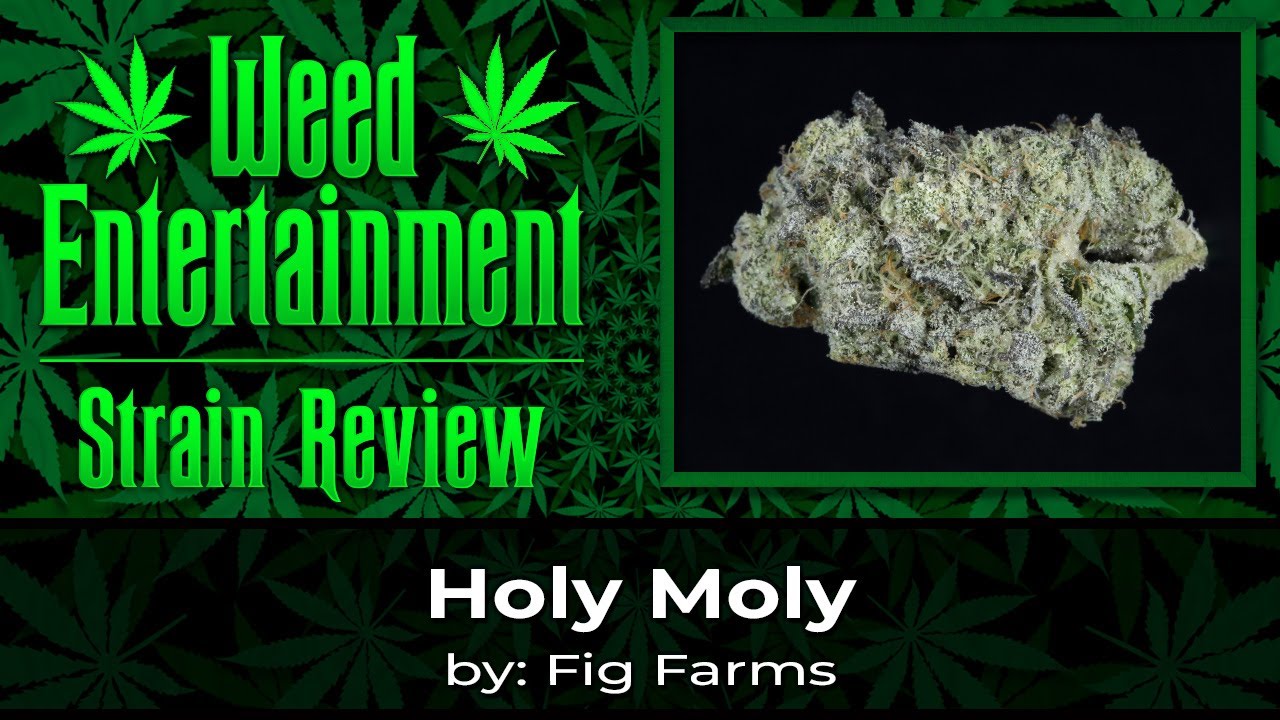 Holy Moly - by Fig Farms - August 2023