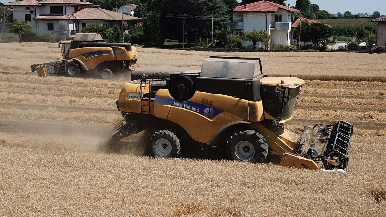 2x New Holland CX 8050 - Trebbiatura grano 2020