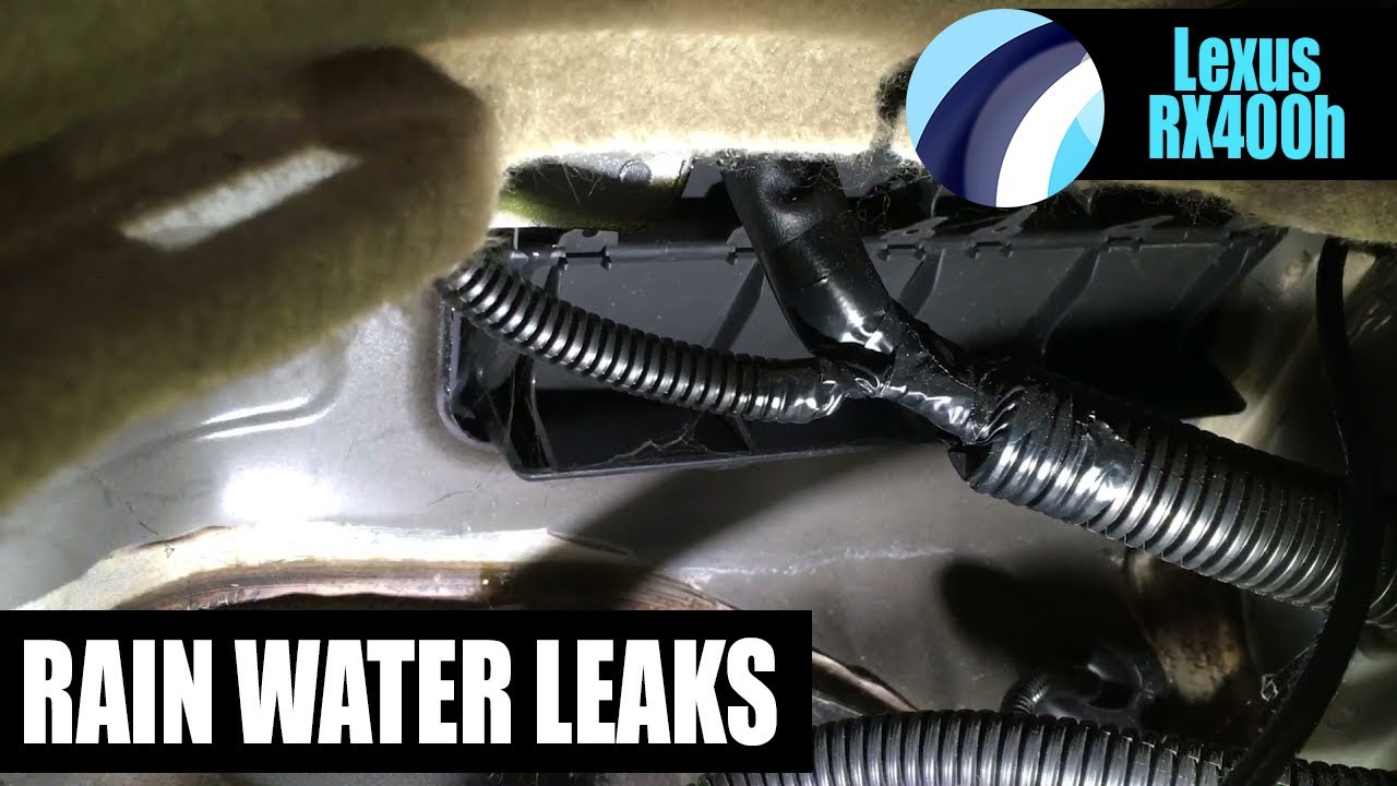 Lexus RX400H 2009 | Water Leak Detection Part 1 | #LexusWaterLeaks