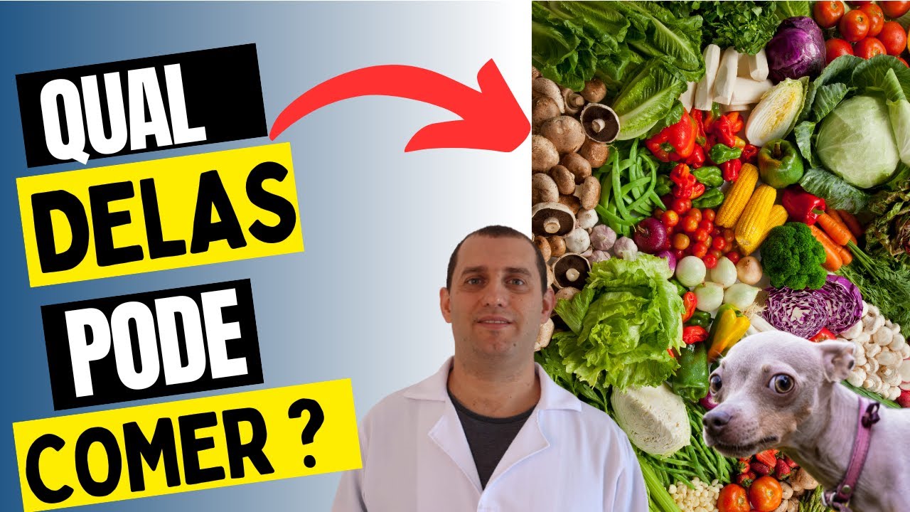 verduras que o cachorro pode comer