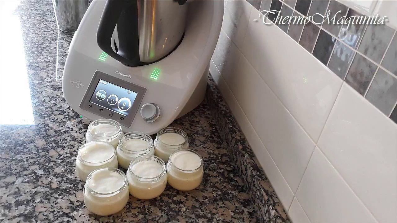 YOGUR con THERMOMIX// de ThermoMaquinita