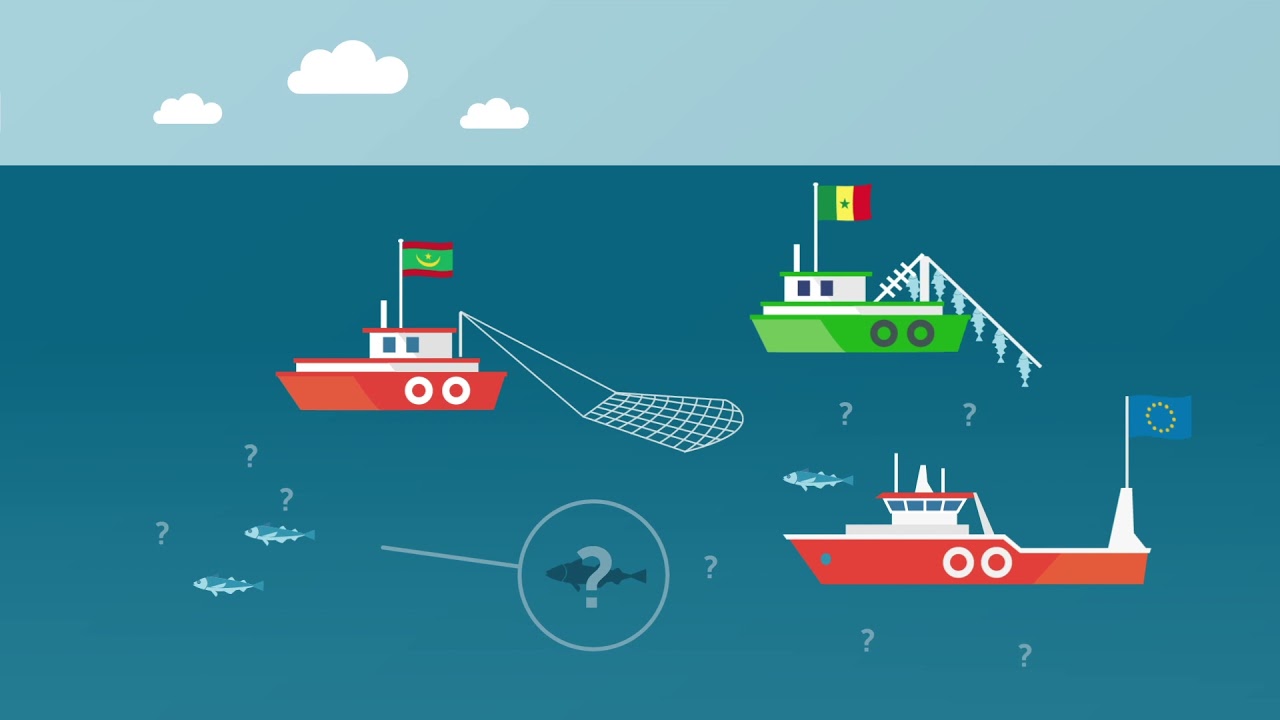FarFish final animated video - English