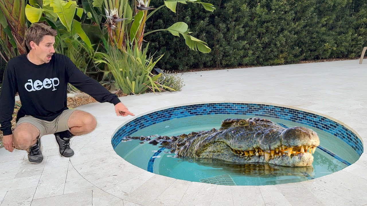 TRAPPING THE POOL MONSTERS !