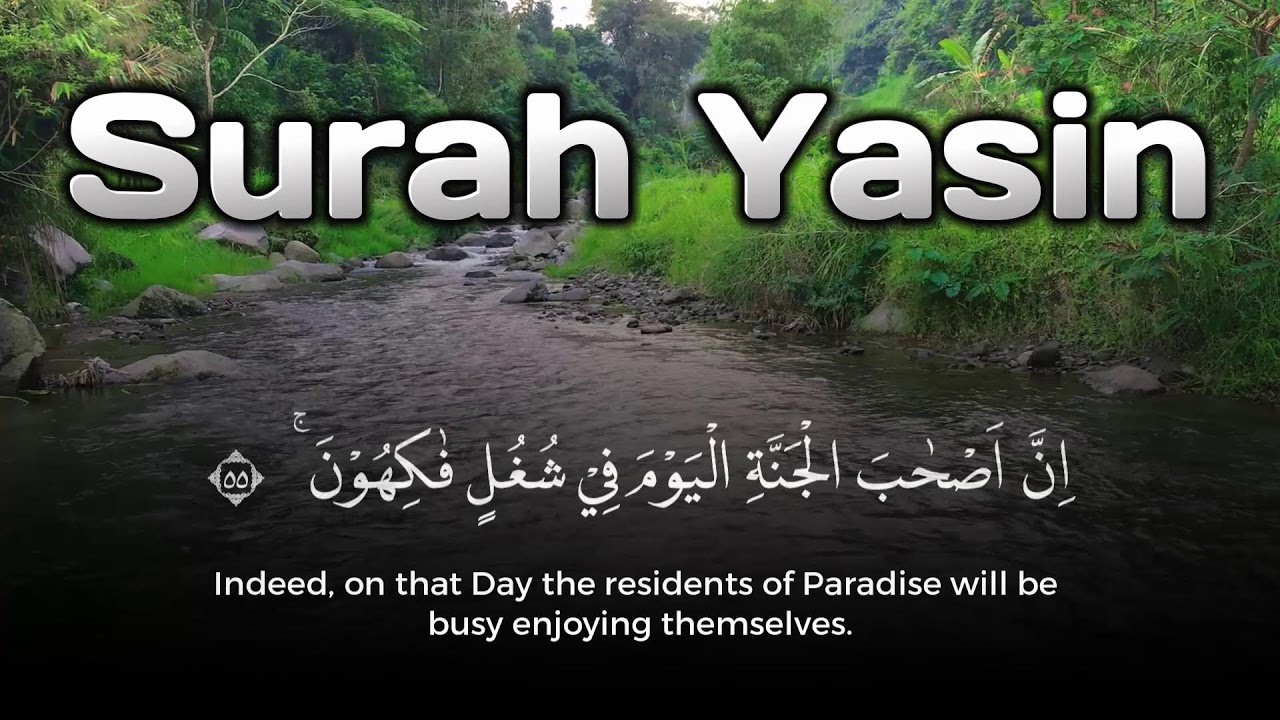 Comforting Quran for Faith and Patience – Surah Yasin Tilawah