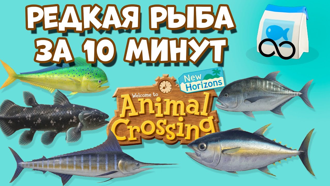 Как быстро поймать редкую рыбу (бесконечная наживка) в Animal Crossing: New Horizons (3+)