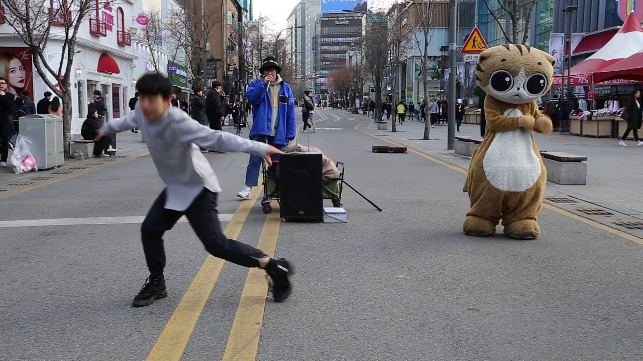 JHKTV] 명물고양이와 양성렬 최수영 special cat & yang sy .choi sy Love Shot