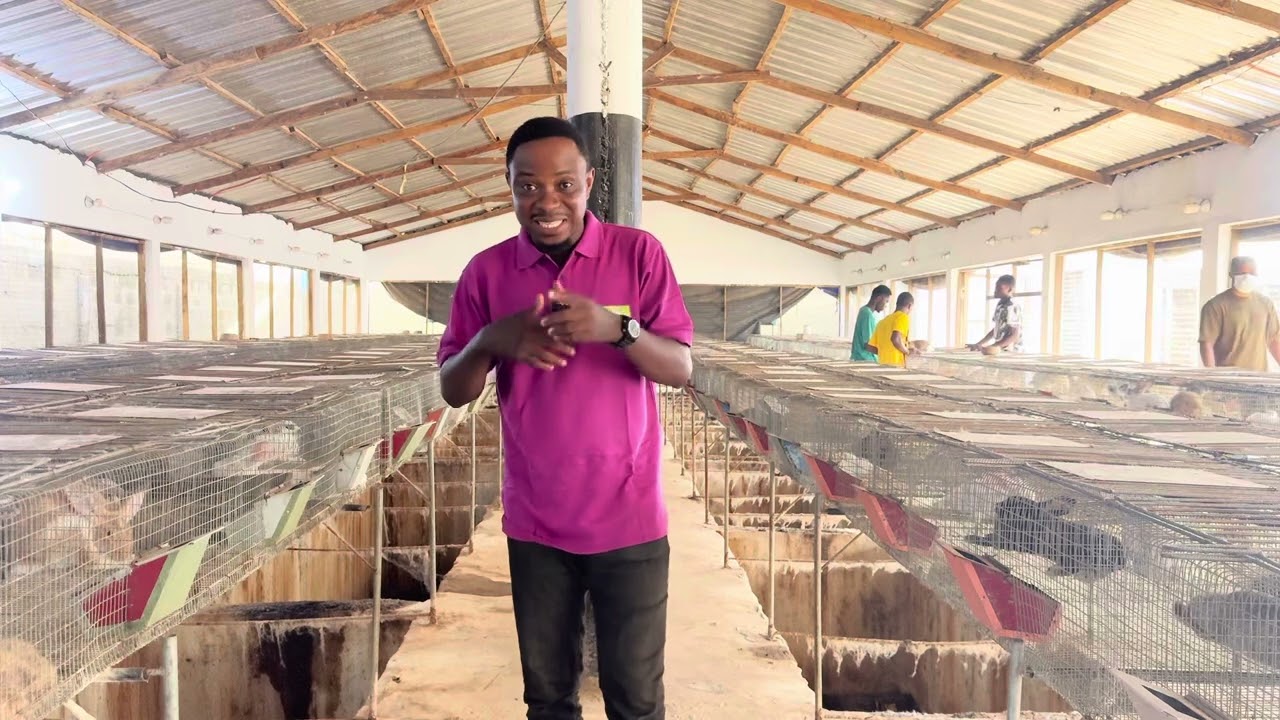 Suivi d’un élevage de lapins:facteur clé pour garantir la santé,la productivité et la rentabilité.