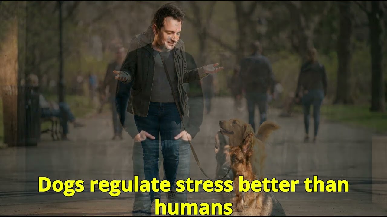Why Dog Lovers Think Differently (Psychology)