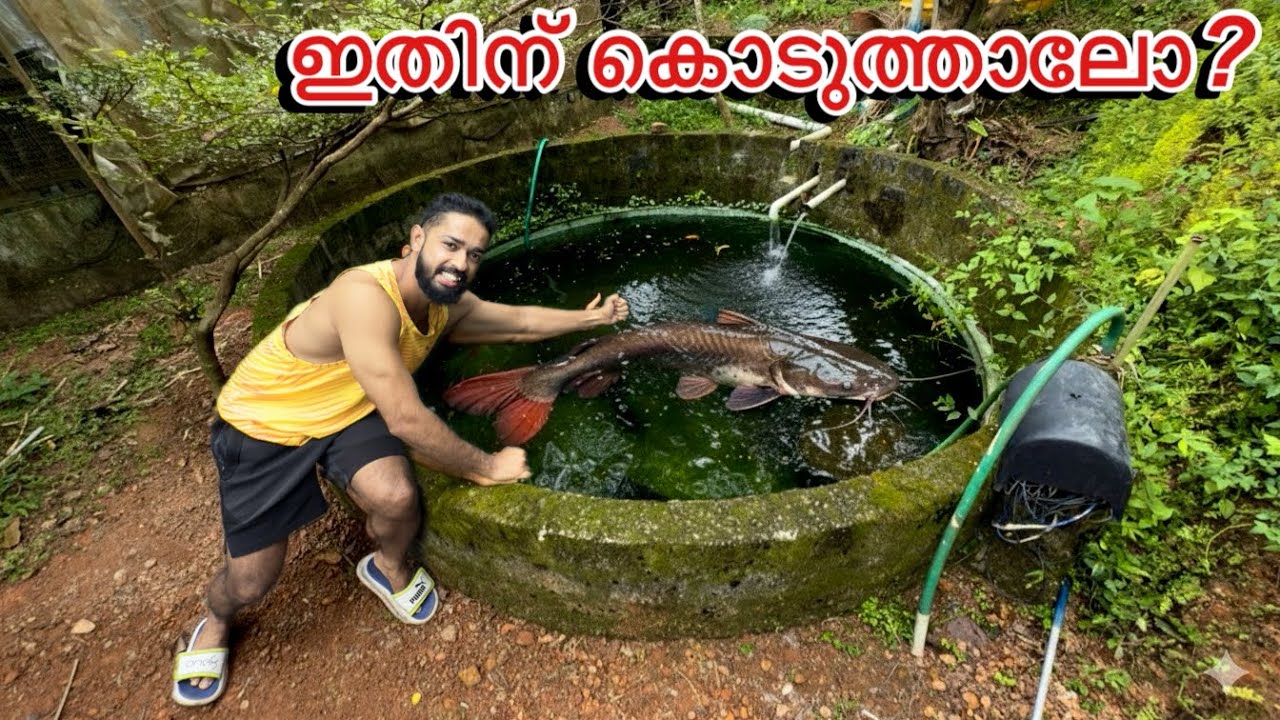 Why did you put the fish you caught in the pond in the pond!! | Feeding My Giant Pond Fishes