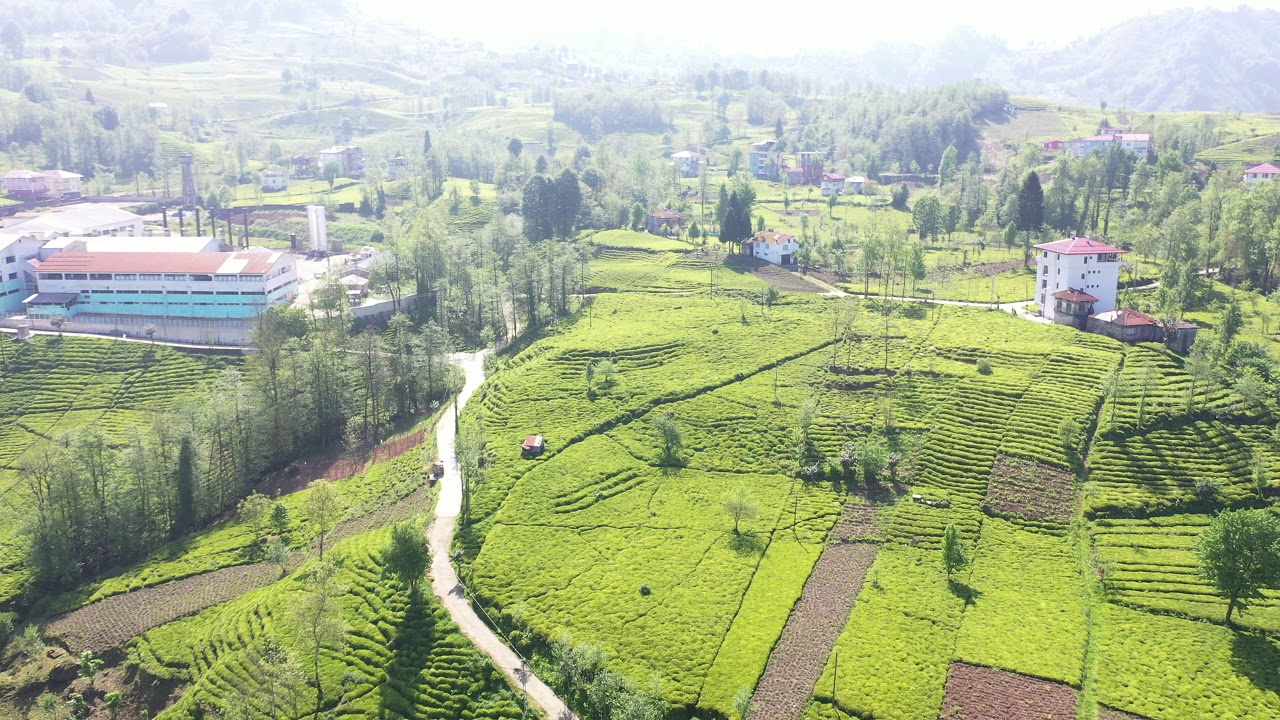 RİZE & SELİMİYE KÖYÜ GENEL