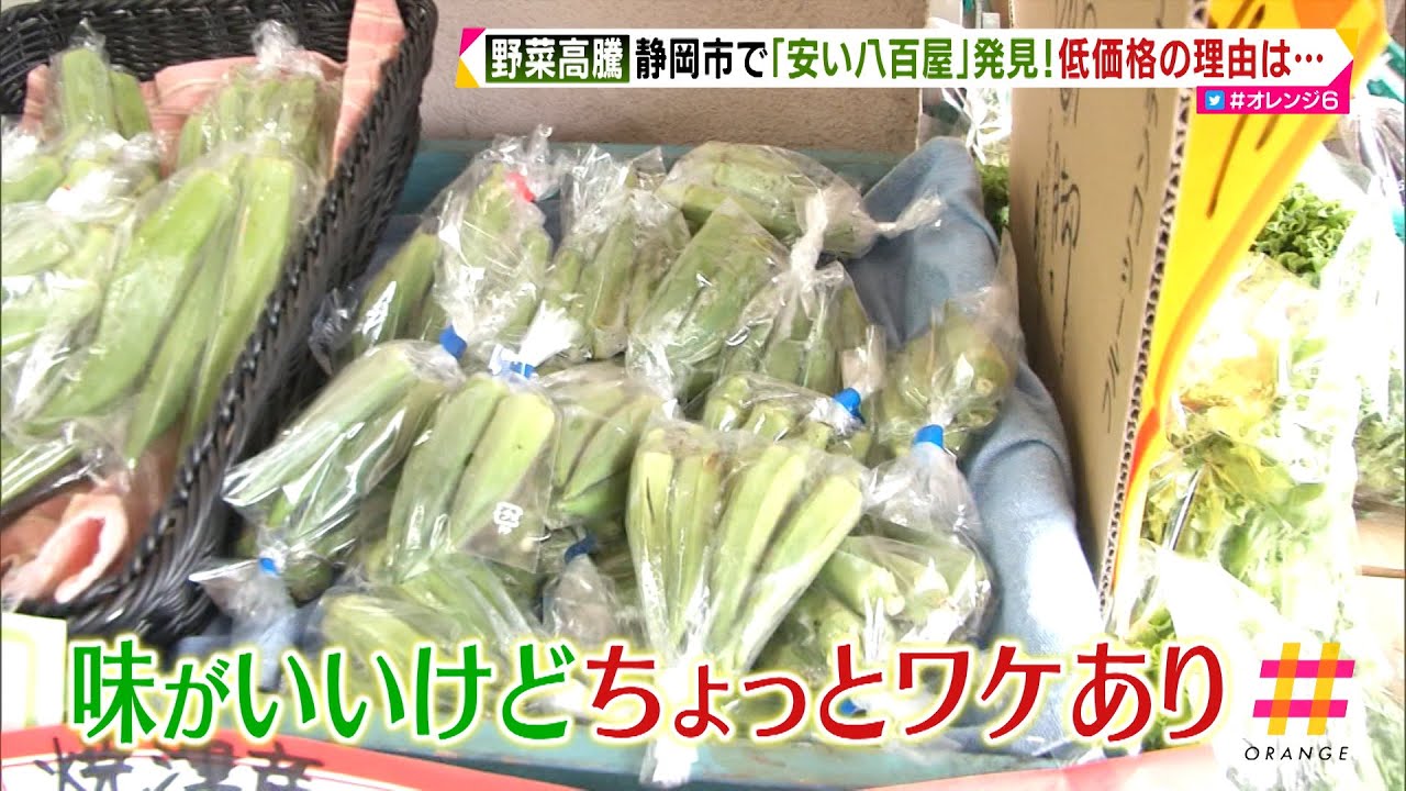 野菜高騰　静岡市で「安い八百屋」発見！農家は「台風心配」