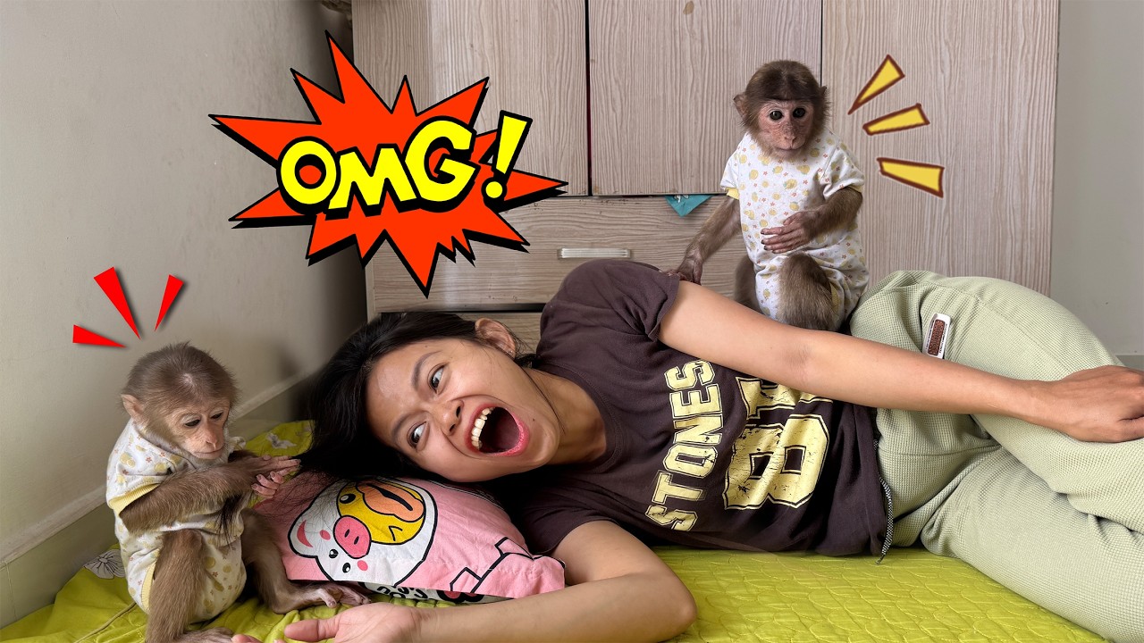 Funny situation   Mom gets furious because of Lucky and Sunny’s noise!