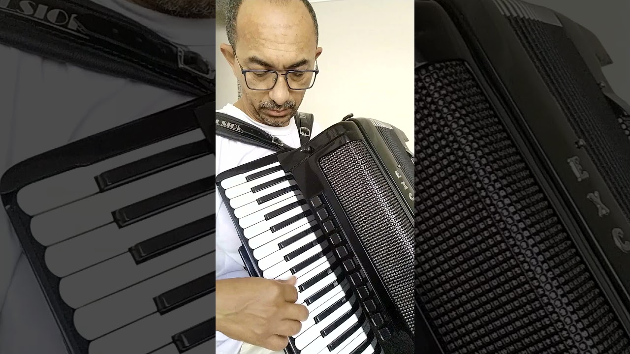 A venda Acordeon Excelsior AC Continental Profissional.