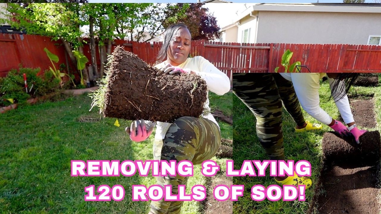 I Installed 120 ROLLS Of GRASS in 1 DAY! Backyard Makeover | DIY LAWN Transformation | HOW I LAY SOD