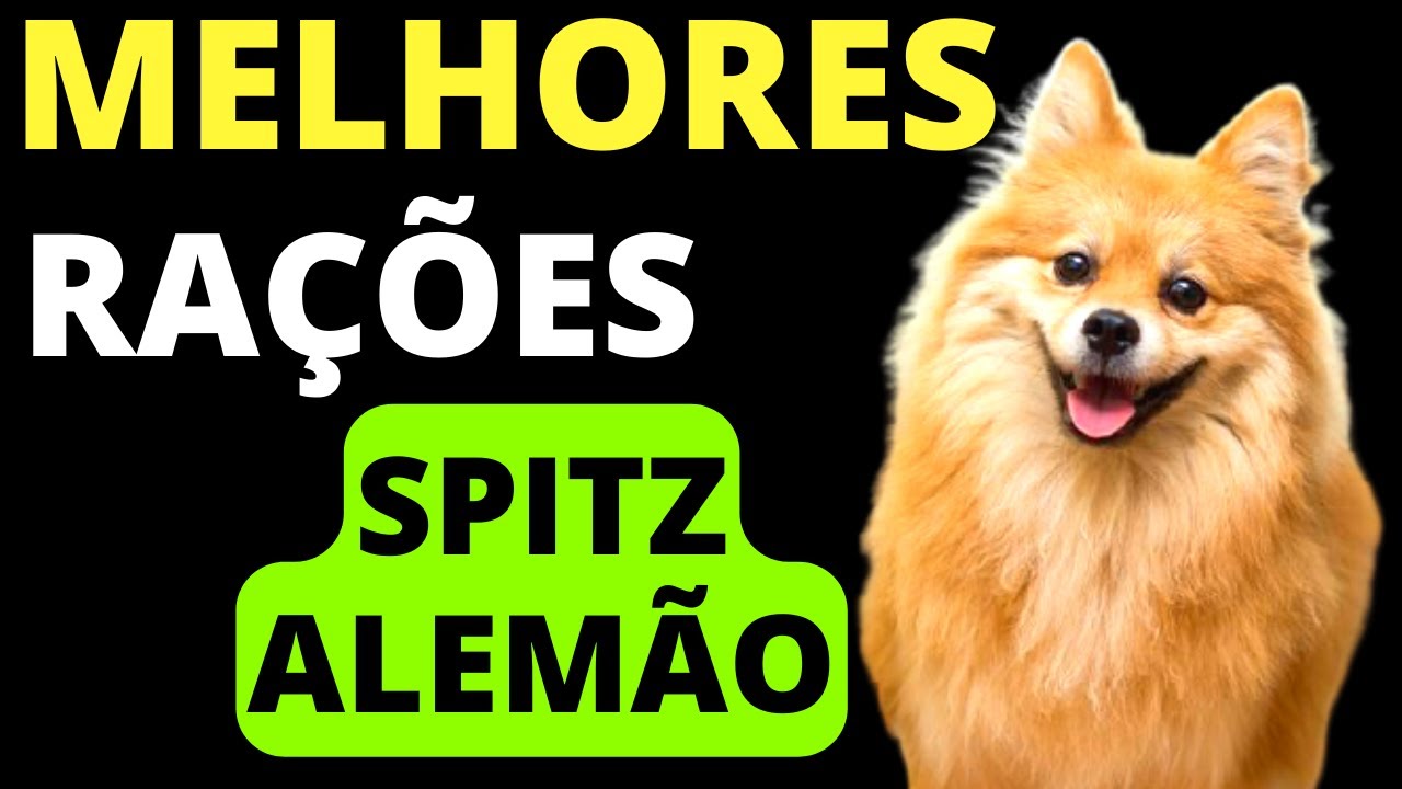 Melhores RAÇÕES PARA SPITZ ALEMÃO! ✅Só as melhores!