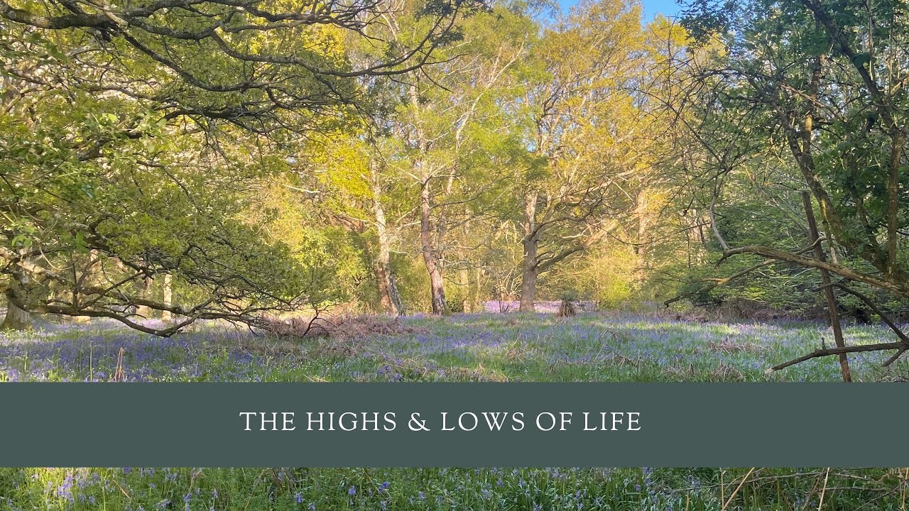 The highs & lows of life
