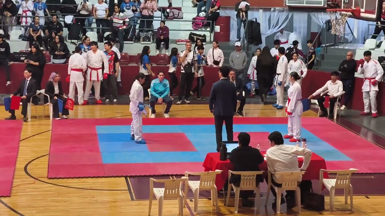 Kumite Febrero 2026 AYLEEN MARIE SILVA