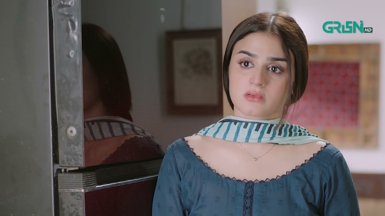 Jaan Bacha Kar Bhaagne Ki Koshish | Rahguzar | Hira Mani - Mohib Mirza | Green Films