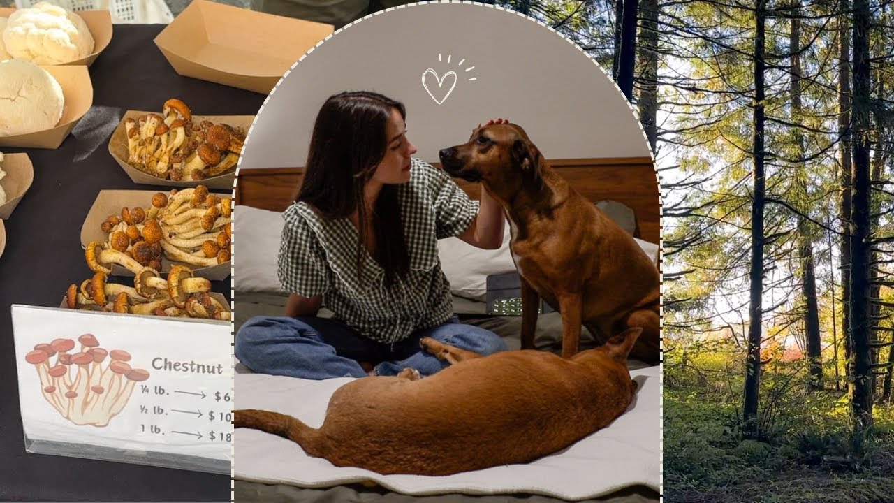 A Cozy Day of Fall Vegan Eats (Autumn Vlog 🍁)