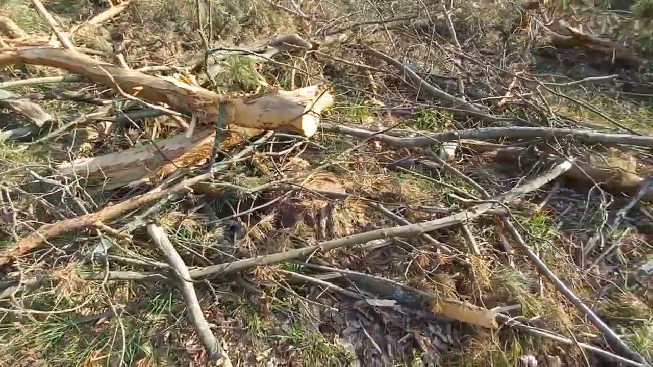Drugi samowyrób w 2025 roku.