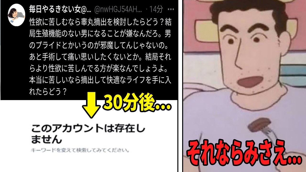 【最強】ツイフェミ、ミラーリングひろしにボコボコにされ涙目敗走w