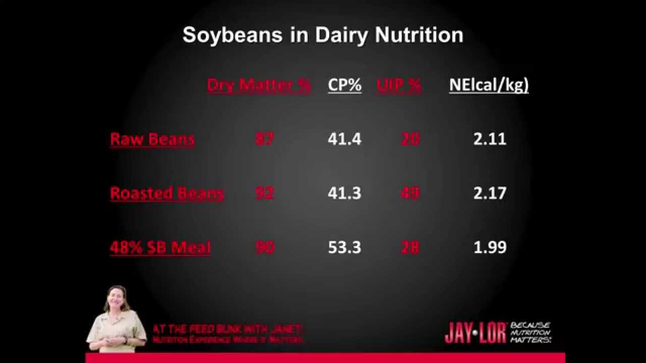 Jaylor: Soybeans in Dairy Rations
