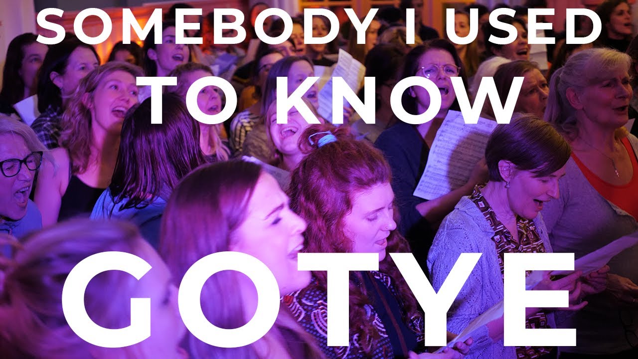 Gotye · Somebody That I Used To Know · Popup Choir