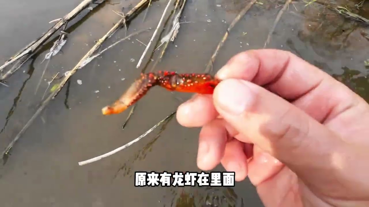 揭秘古代角篮：捕鱼秘密大公开