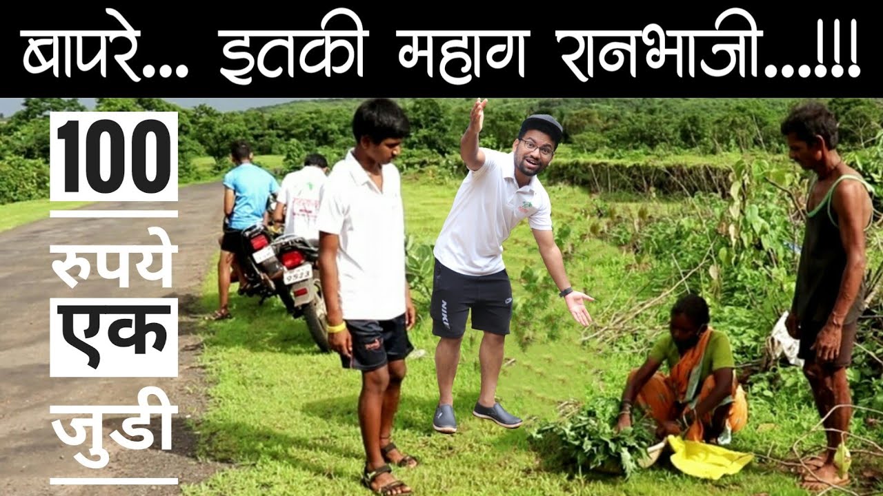 सर्वांत जास्त किंमत असणारी कोकणातील रानभाजी | Yes महाराजा