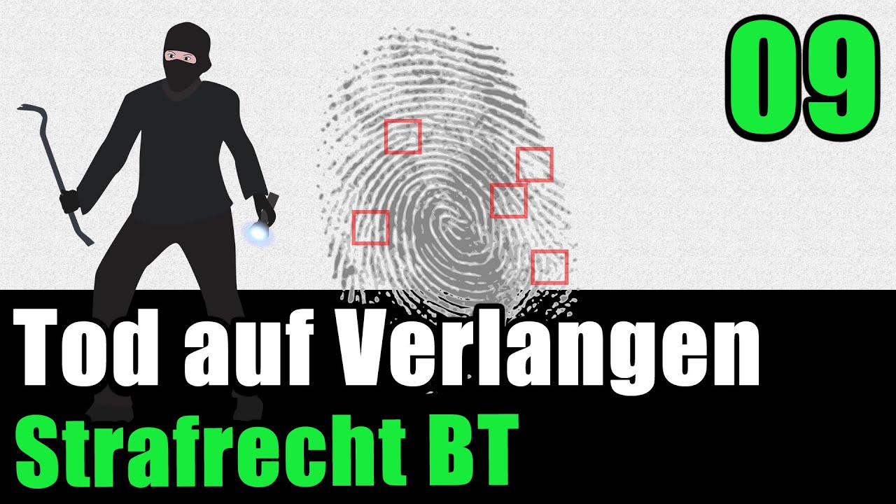 &sect; 216 StGB - Die T&ouml;tung auf Verlangen - Strafrecht BT 09