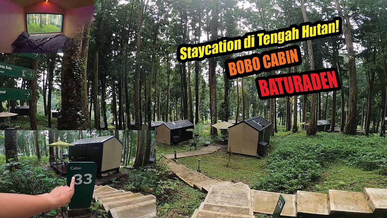 Road Trip Seru dari Gor Satria ke Bobocabin Baturraden 🌲✨ Staycation di Tengah Hutan!