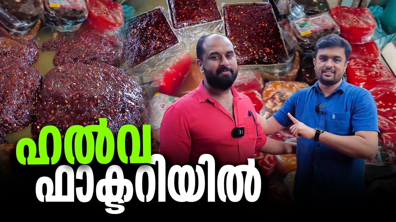 World Famous Kozhikode Halwa | Factory Cooking In Malayalam