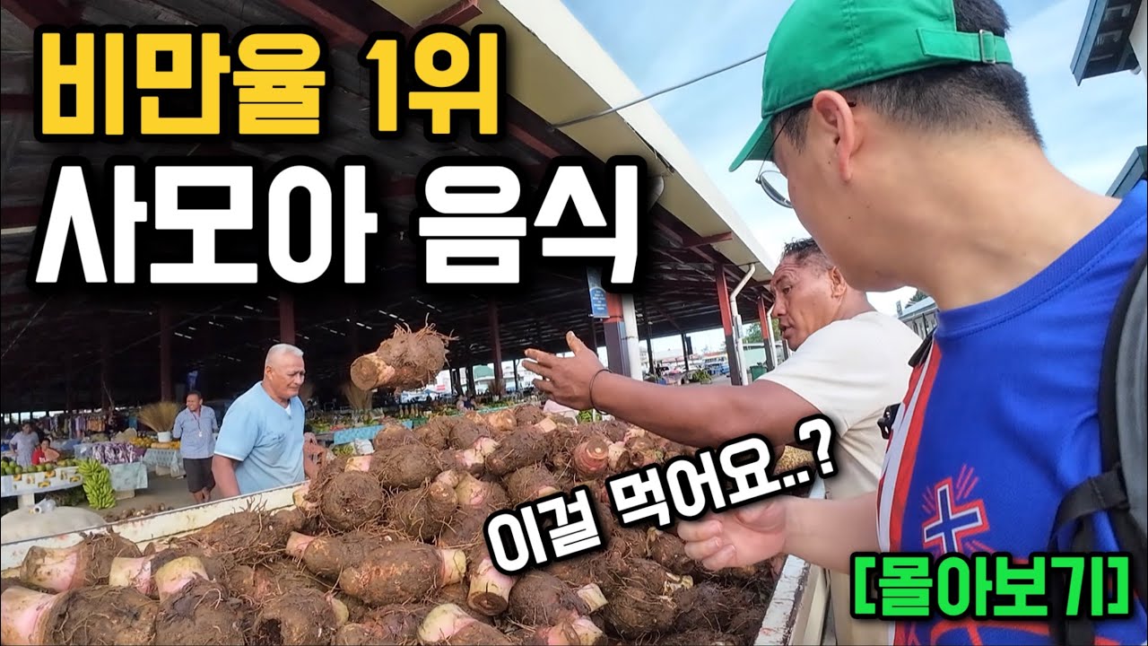 세계에서 가장 비만율이 높은 나라 사모아 여행기 [몰아보기]