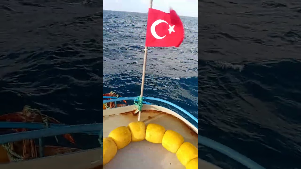 BALIK üretim tesisi