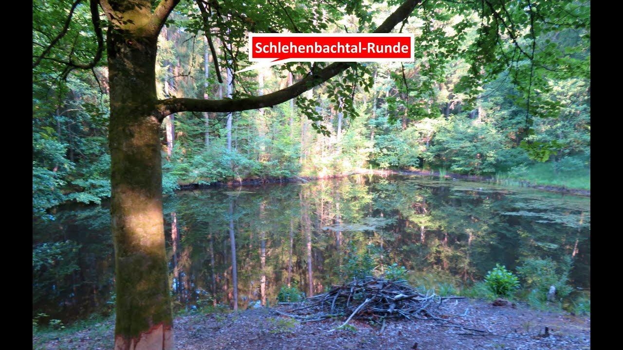 Waldrunde in Forchheims W&auml;ldern am 20.07.23 im Schlehenbachtal mit Waldseen