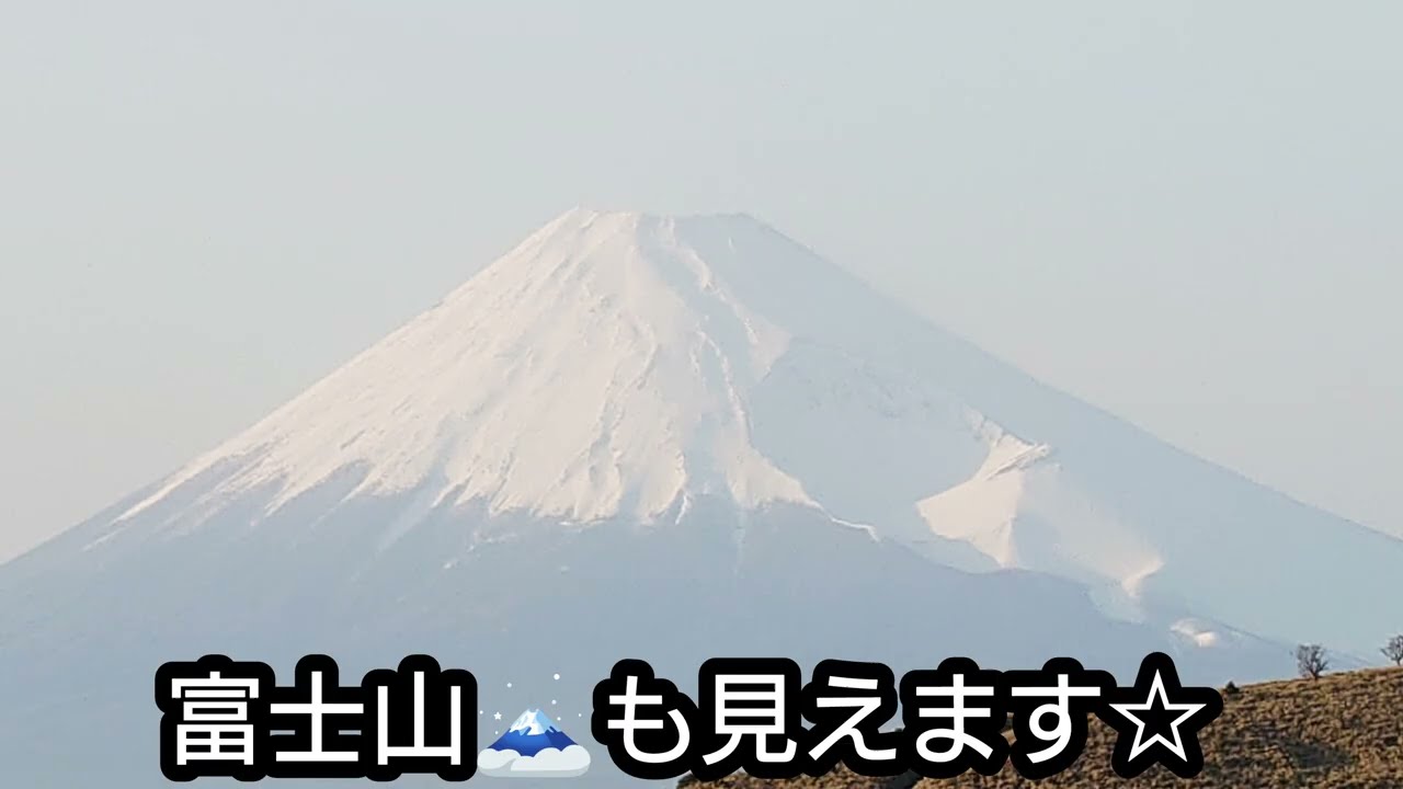 2026年3月19日