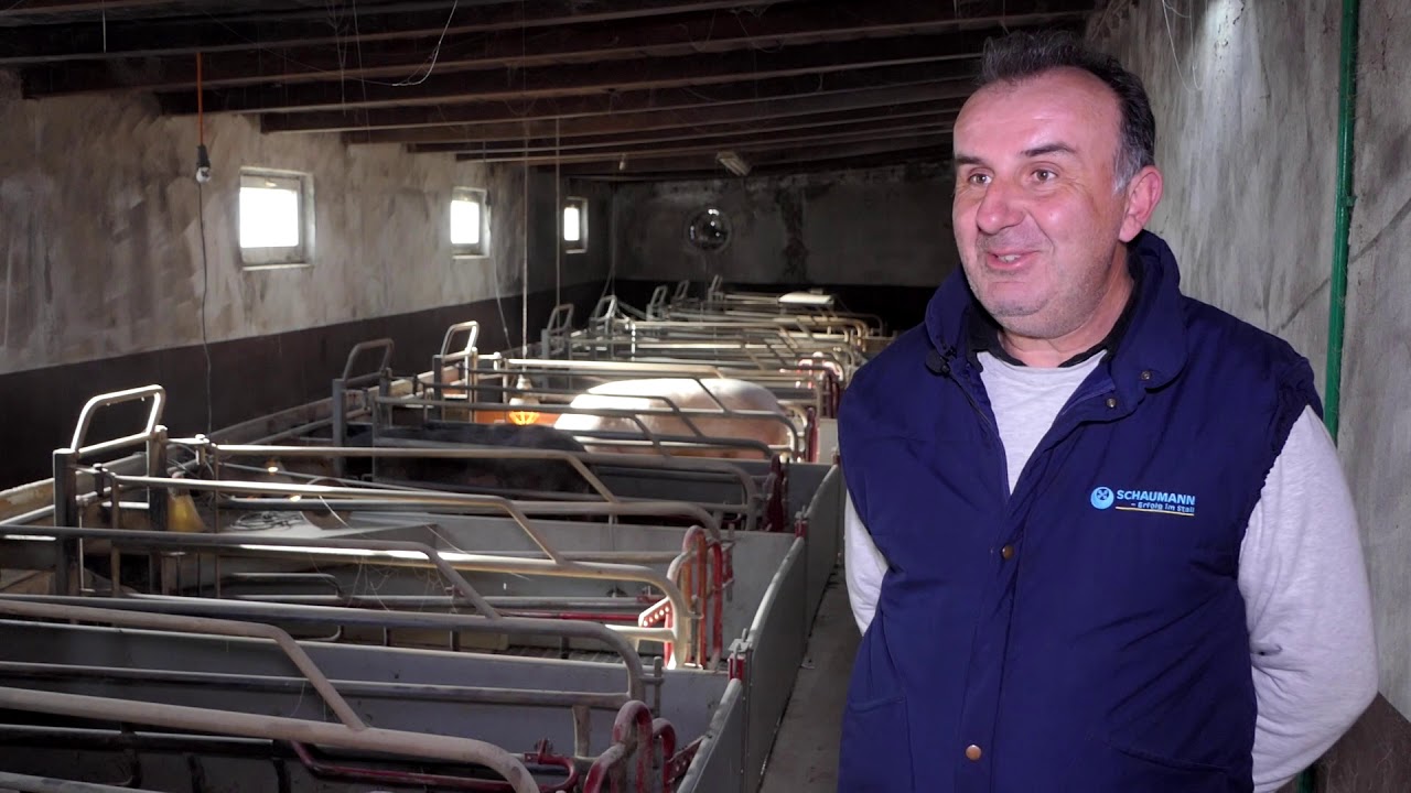 Domaćine kako radiš 24.02.2020. Svinjarstvo, Vrbica, Miloševac