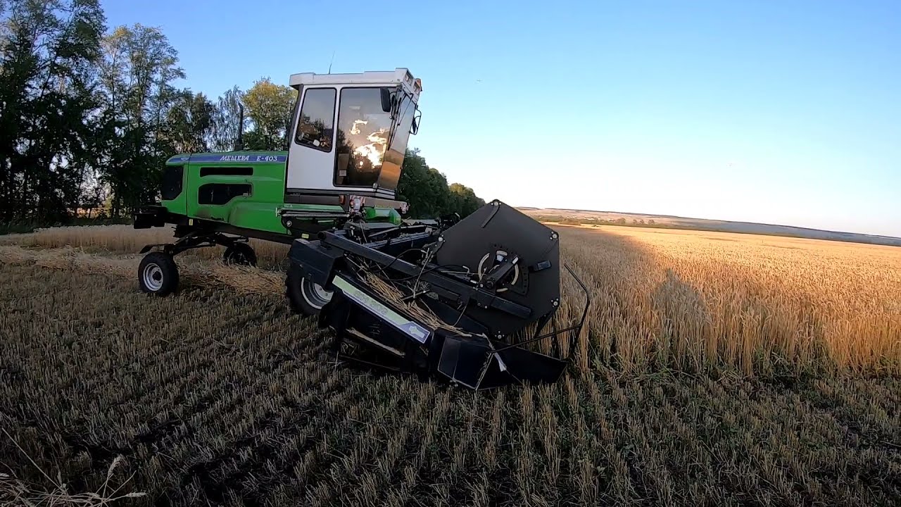 Уборка 2021. Мещера - 403. Massey ferguson 6713 с прицепной жаткой Палессе СТ 70. Будни тракториста