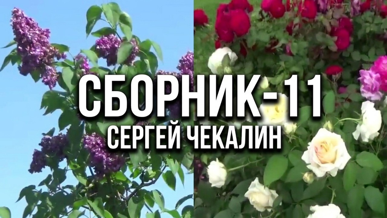 Сборник-11. Музыка Сергея Чекалина. Collection-11. Music by Sergei Chekalin.