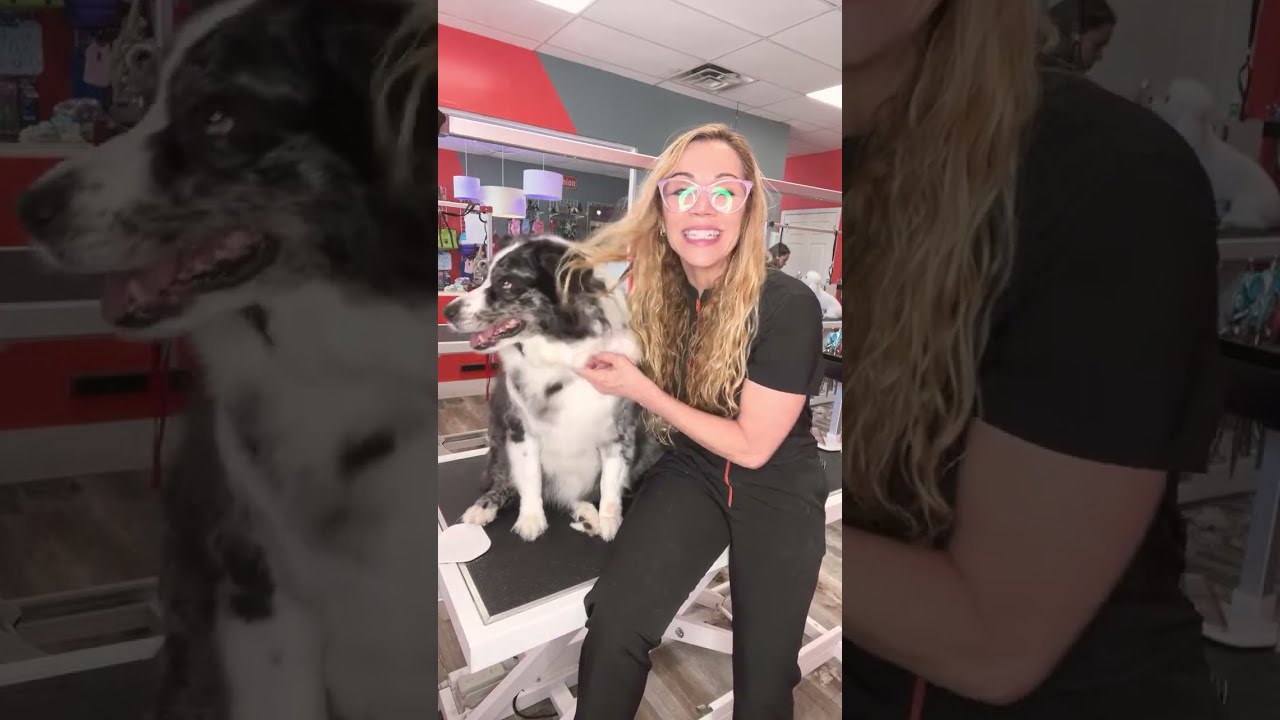 PattyLove está en vivo para explicar su nuevo viaje a Colombia 🇨🇴😱