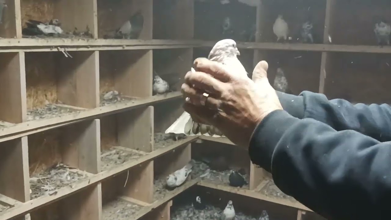 29 октября 2025 г.