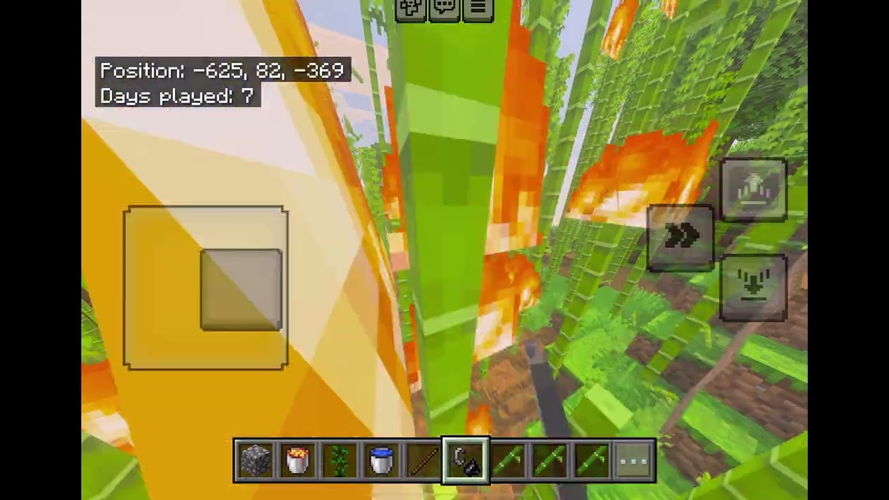 Bamboo ASMR