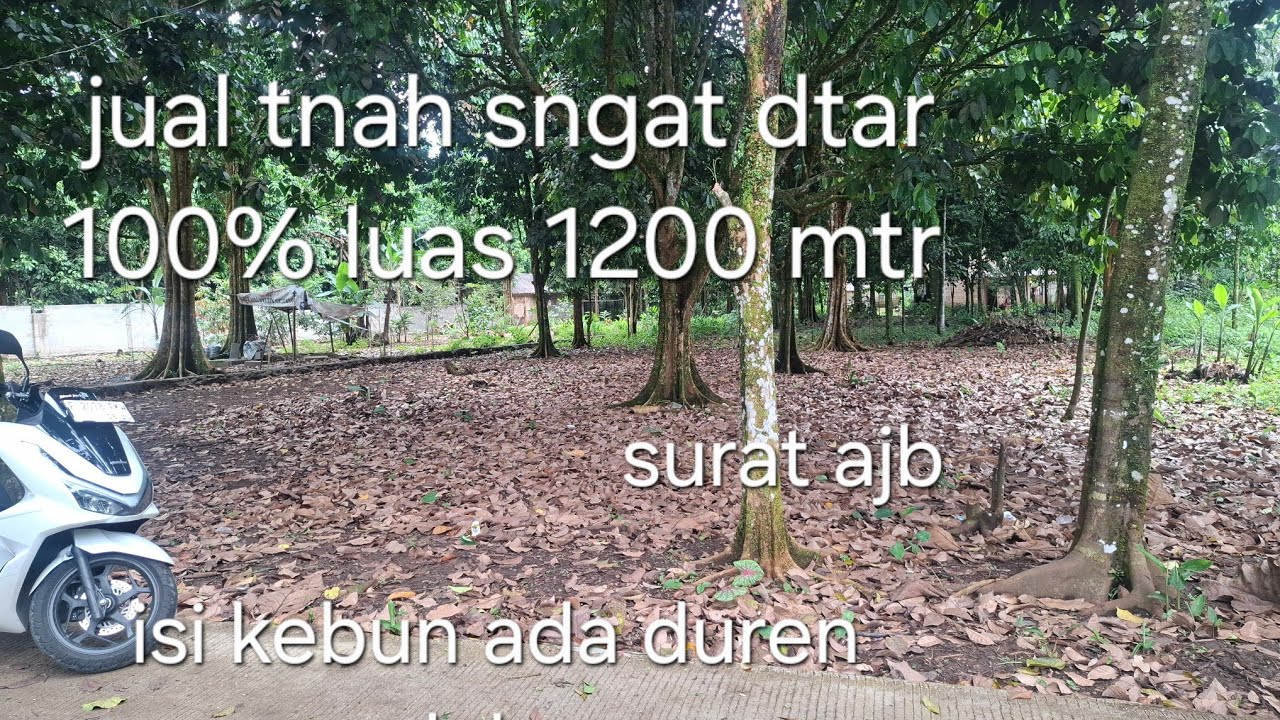 ##jual kebun dukuh rambutan duren luas 1200 mtr surt ajb tnah dtar bnget 100%  akses mobil 