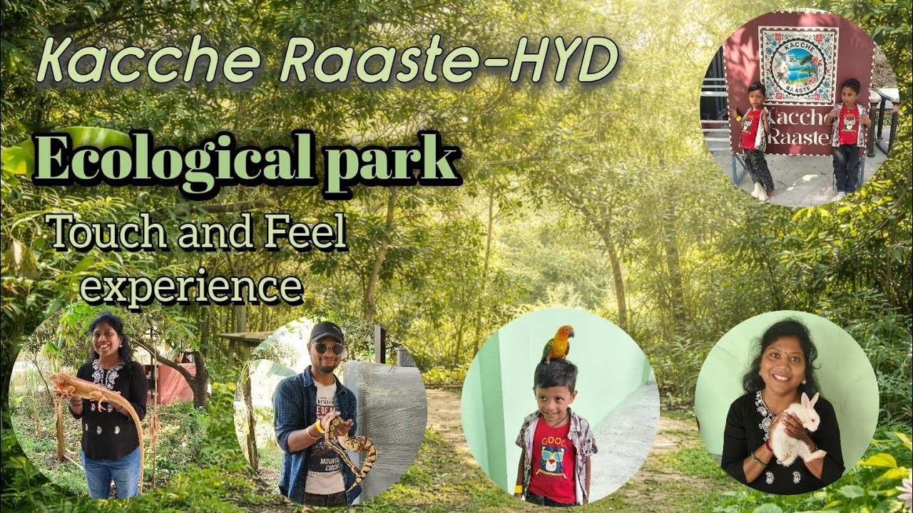 Kacche Raaste-Ecological park-Hyderabad #Animals #park #birds #python 