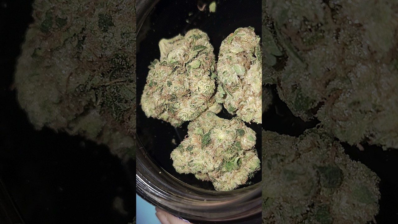 Strain: 3 Chems